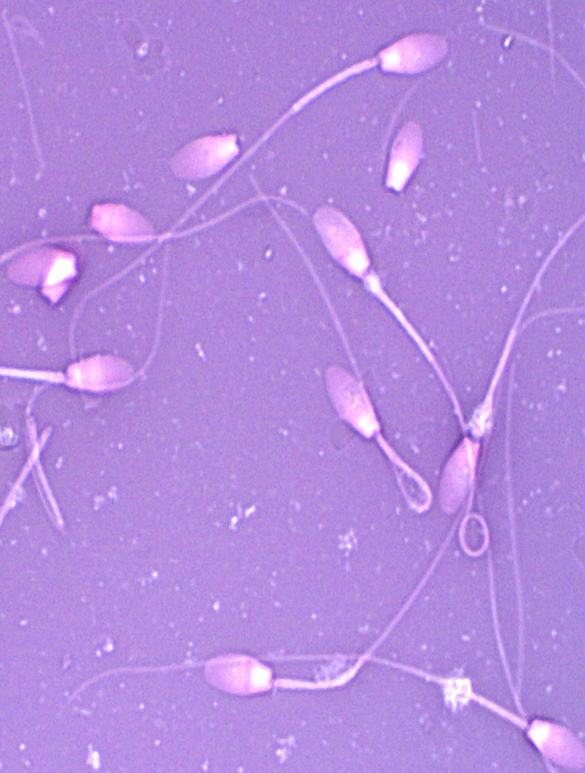 Welcome to Your Exclusive Journal Club