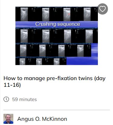 Equine Reproduction Continuing Education