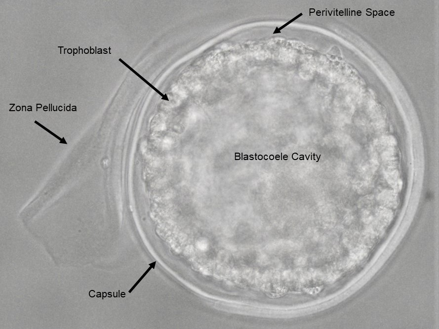 Keep Up to Date with ISER