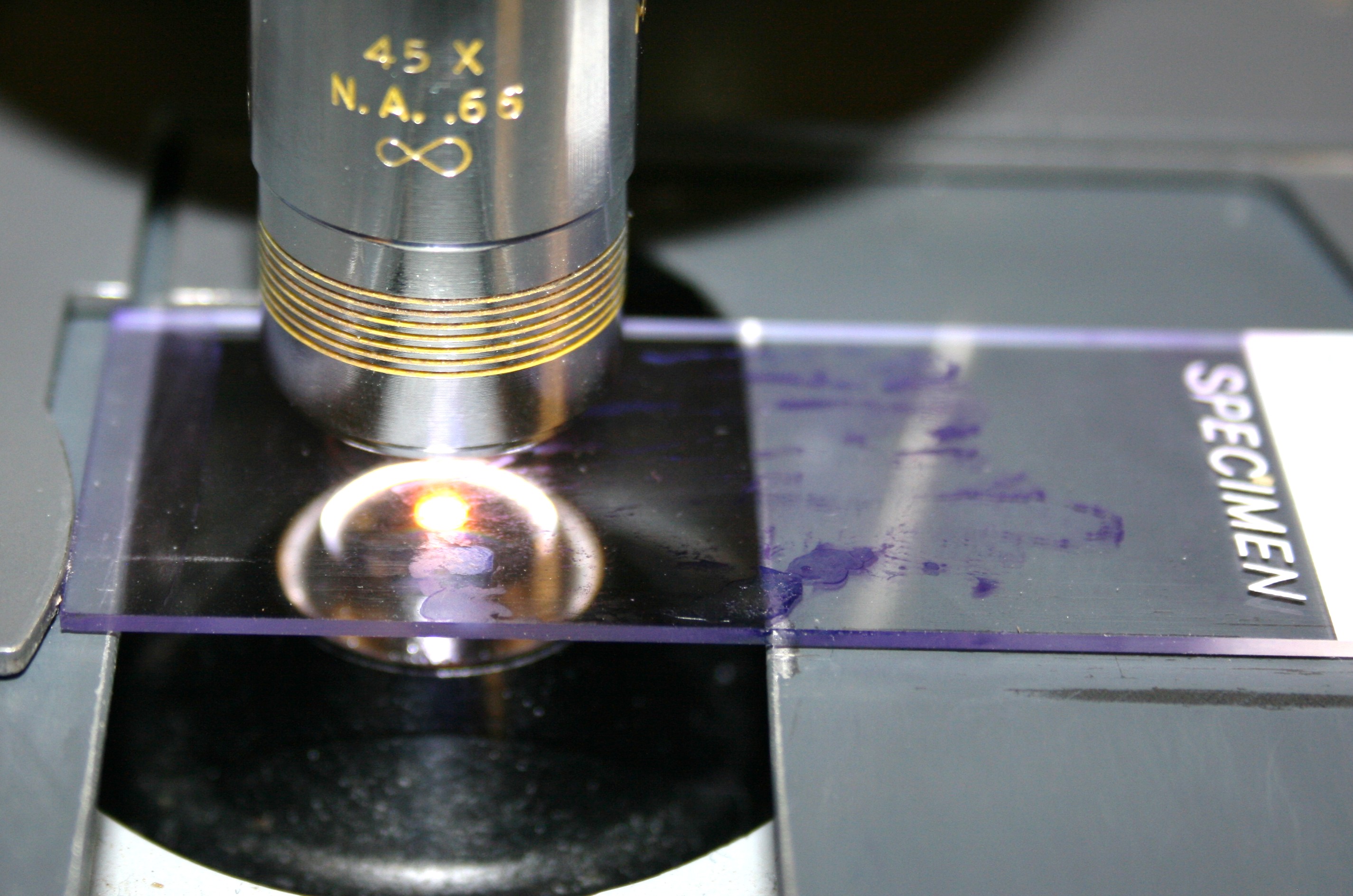 Education and Knowledge Access