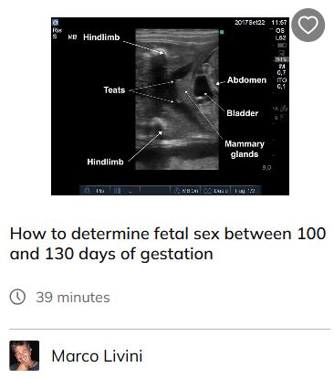 Accessing the Webinars