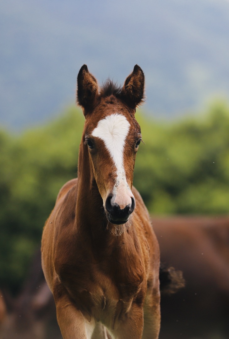 Exclusive Knowledge at Your Fingertips