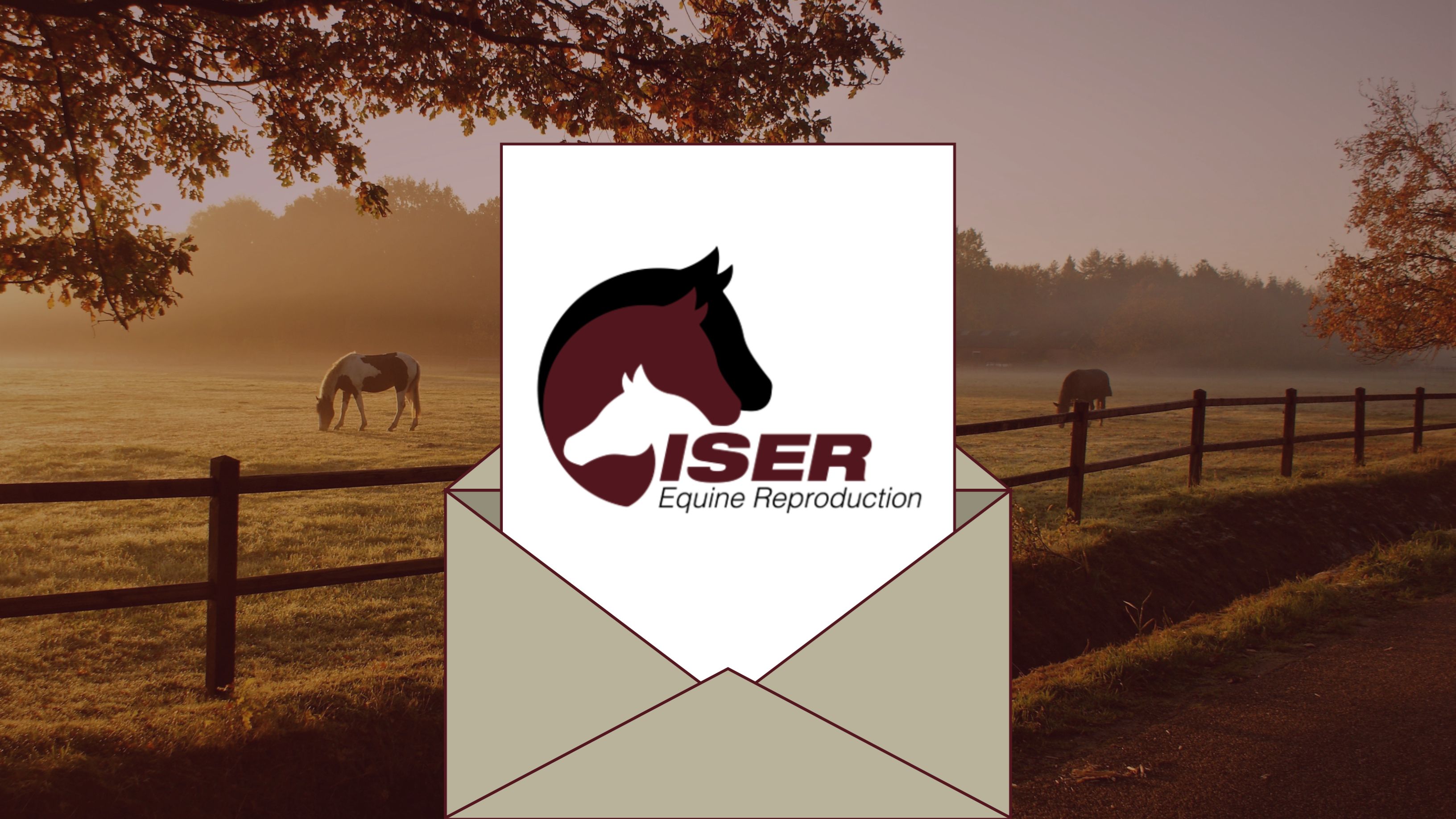 Spring Newsletter 2026
