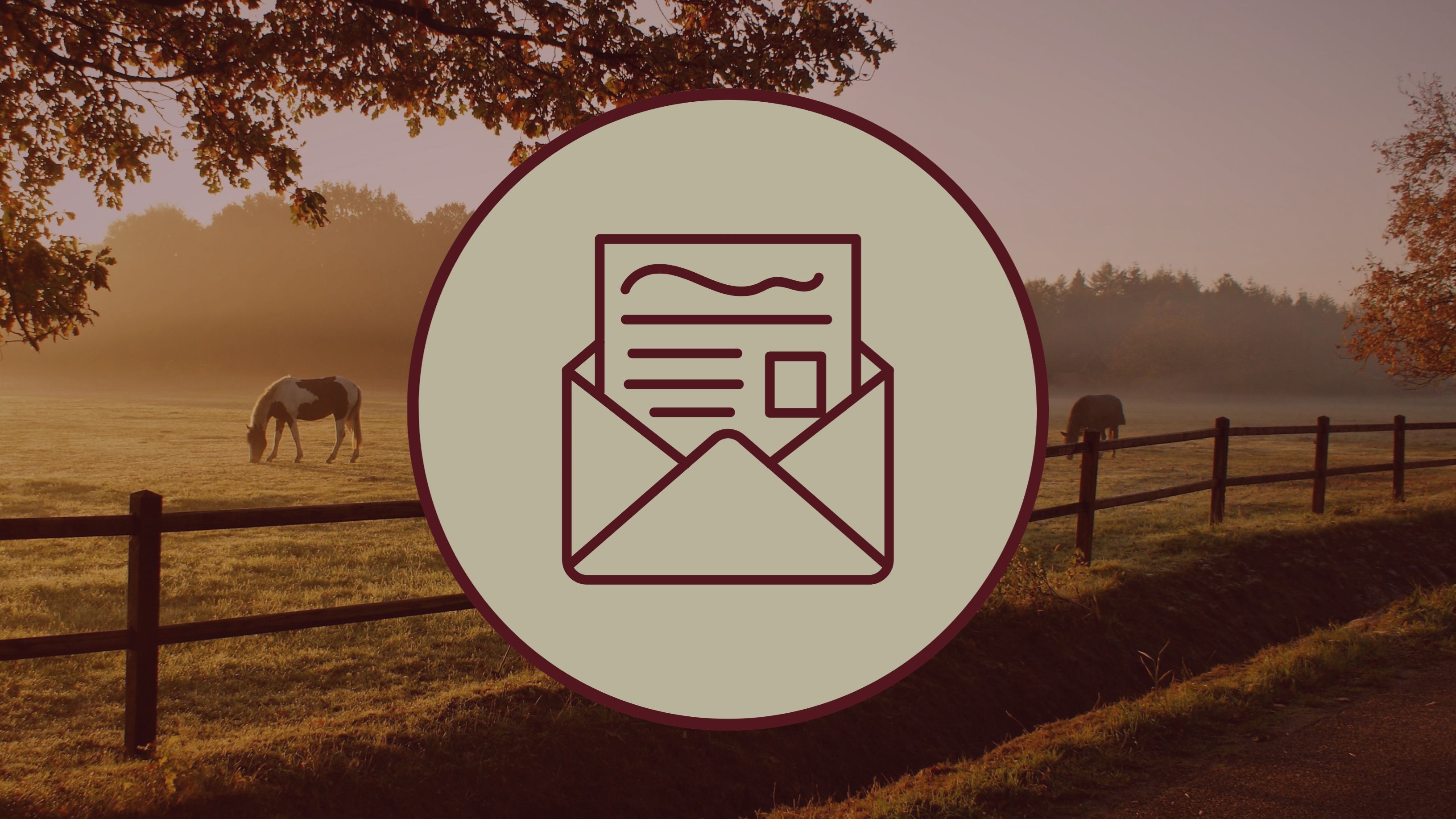 Spring Newsletter 2026